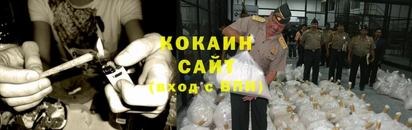 ГАЛЛЮЦИНОГЕННЫЕ ГРИБЫ Балабаново