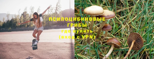 a pvp Баксан