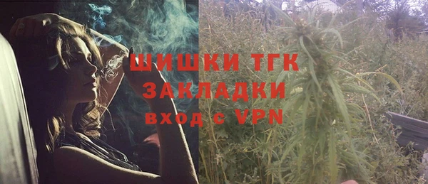 ГАЛЛЮЦИНОГЕННЫЕ ГРИБЫ Балабаново