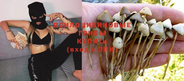 ГАЛЛЮЦИНОГЕННЫЕ ГРИБЫ Балабаново